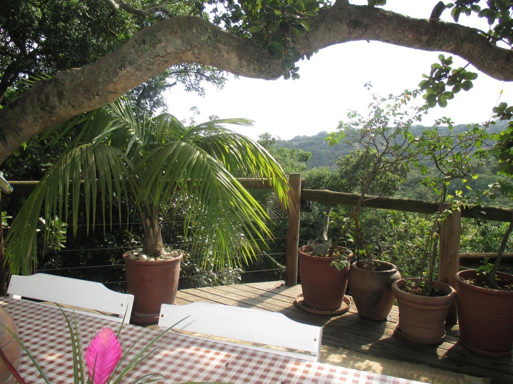 Utopia In Africa Guest Villa Νέλσπρουιτ Εξωτερικό φωτογραφία